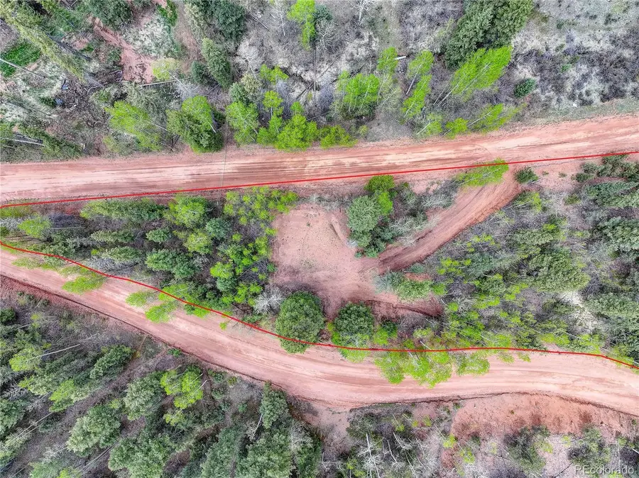 416 Willow Road, Divide, CO 80814 - Image #2