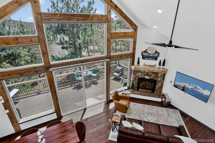341 Rainbow Trail, Divide, CO 80814 - #3