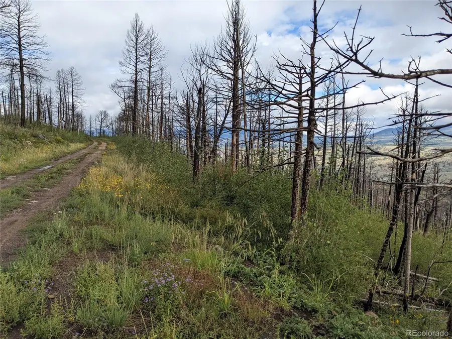 490 Soubry, Fort Garland, CO 81133 - Image #3