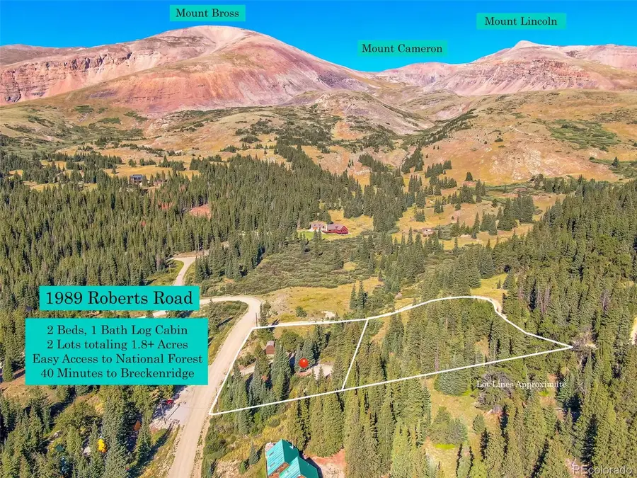 1989 Roberts Road, Fairplay, CO 80440 - #3