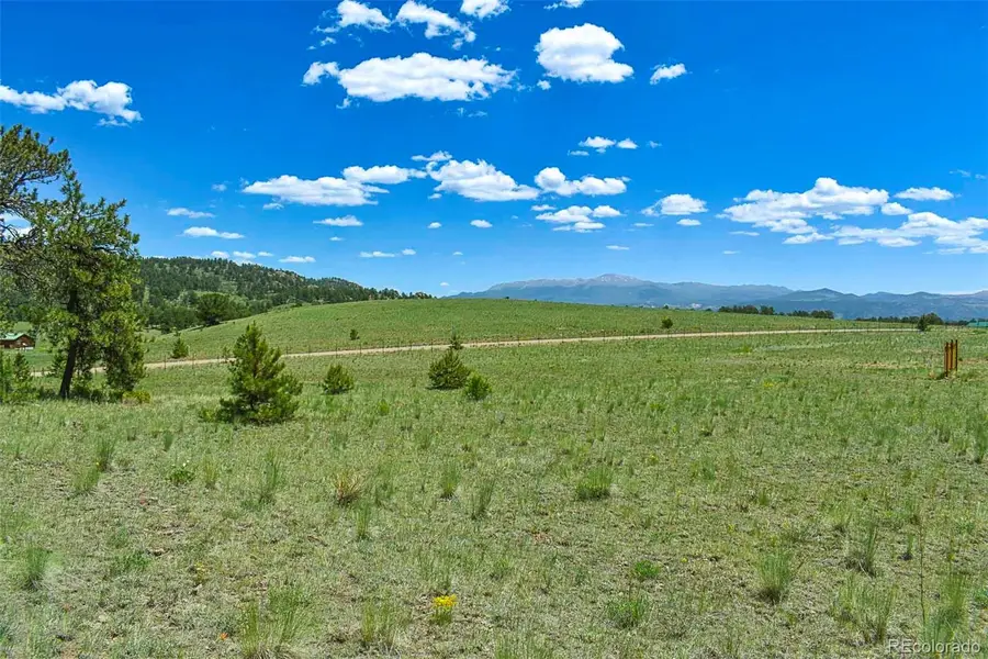 56 View Lane, Guffey, CO 80820 - #2