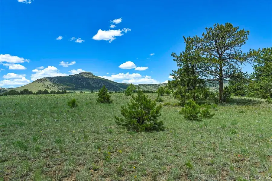 56 View Lane, Guffey, CO 80820 - #3
