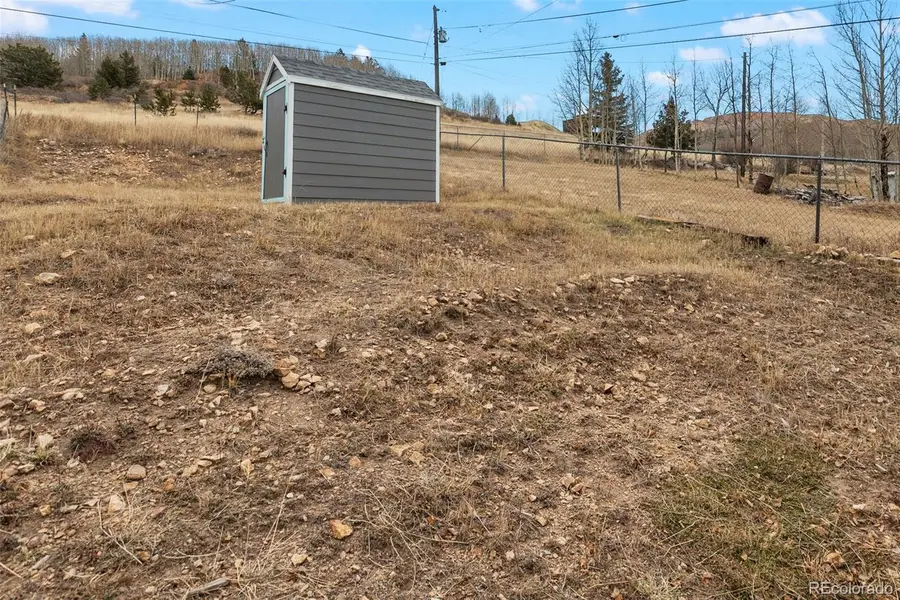 202 Silver Street, Cripple Creek, CO 80813 - #3