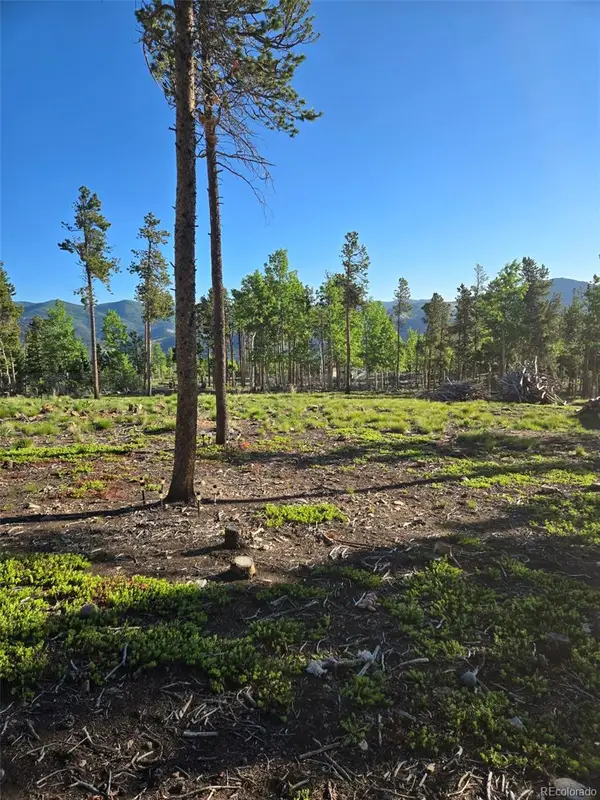 000 Frank C, Idaho Springs, CO 80452