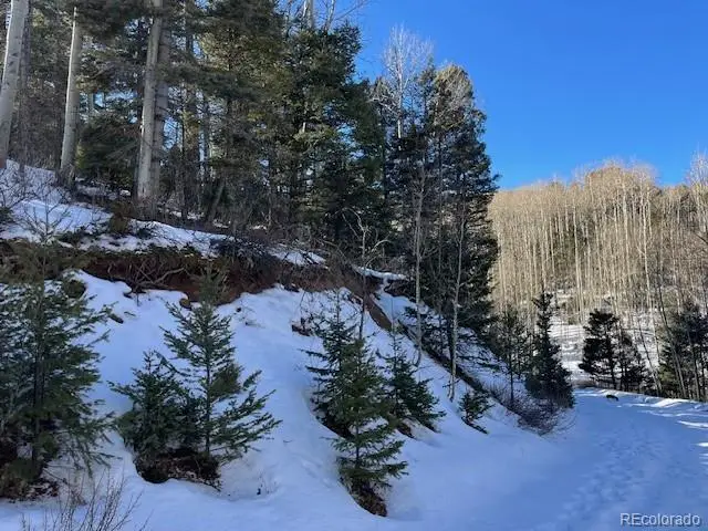 Lot 5252 Scott Road, Fort Garland, CO 81133 - Image #2