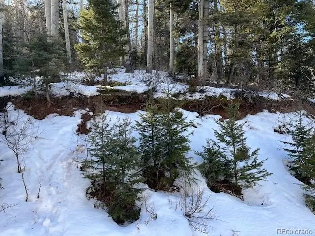 Lot 5252 Scott Road, Fort Garland, CO 81133 - Image #3