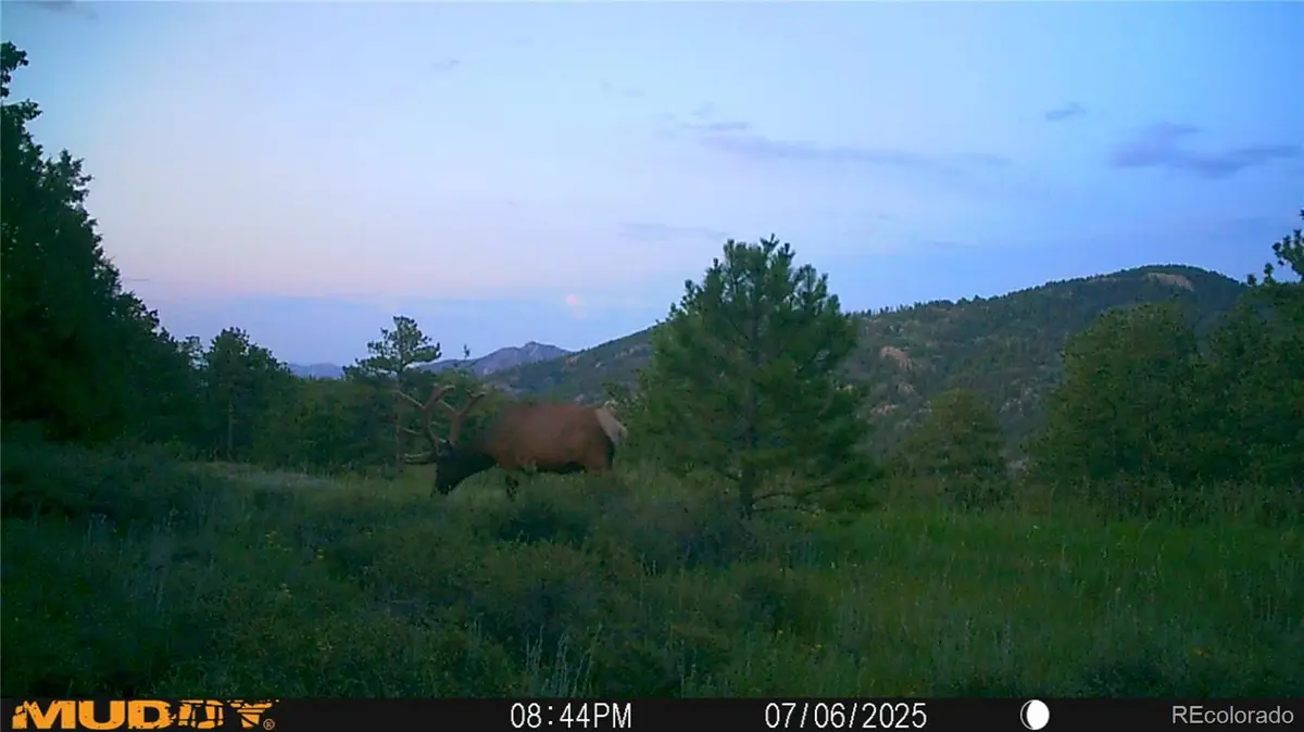 591599 Soul Shine Road, Drake, CO 80515 - Image #1