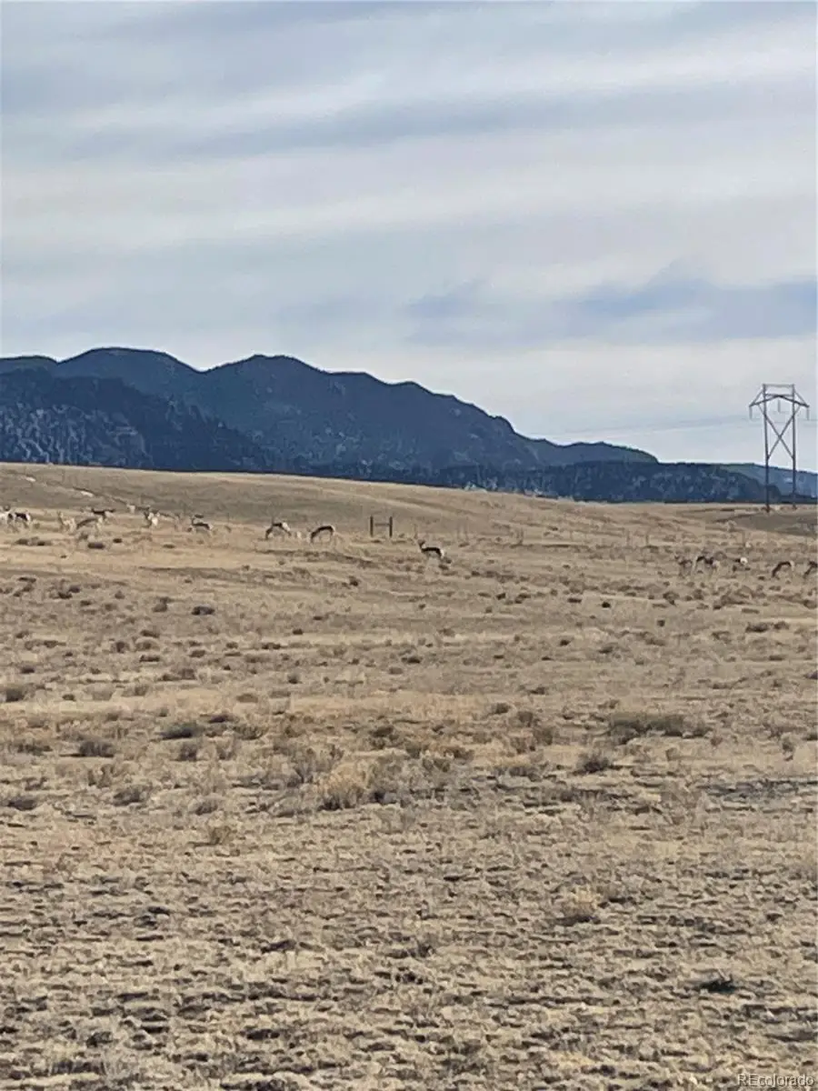 7620 Clear Creek Road, Hartsel, CO 80449 - Image #3