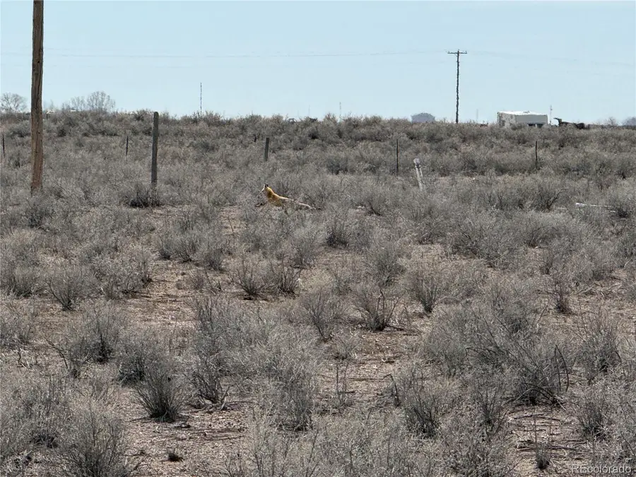 01 Cr D.875, Center, CO 81125 - #3