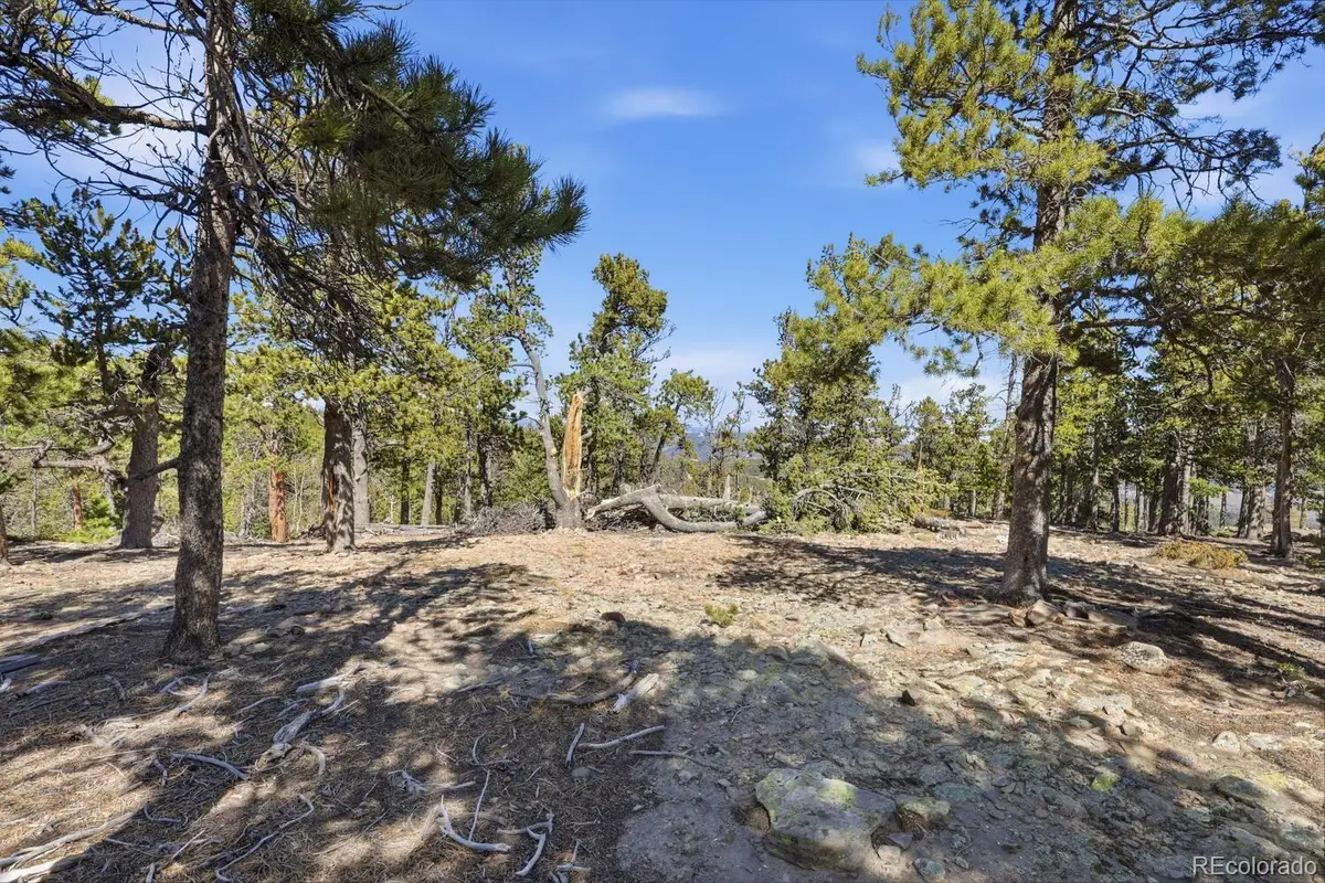 33149 Janelle Circle, Golden, CO 80403 - #1