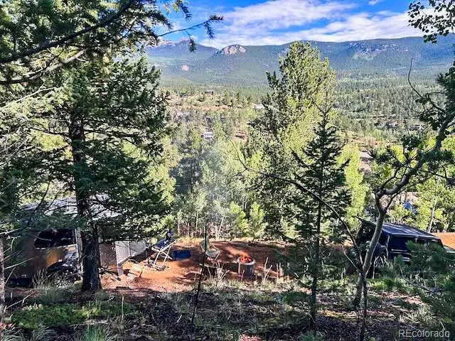 272 Wise Road, Bailey, CO 80421 - #3