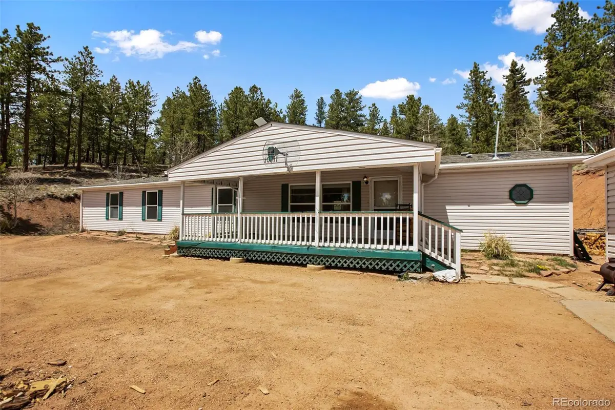 1011 W Bison Creek Trail, Divide, CO 80814 - #1