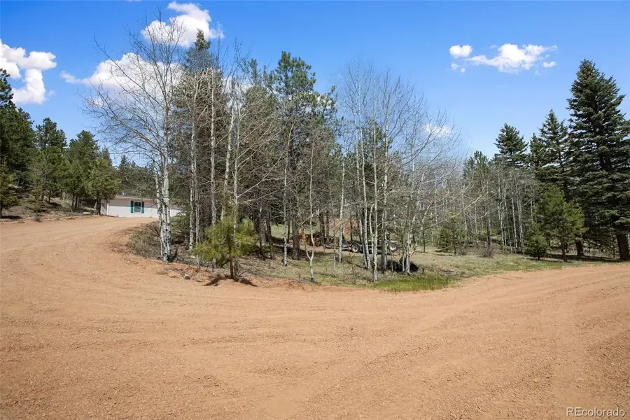 1011 W Bison Creek Trail, Divide, CO 80814 - #3