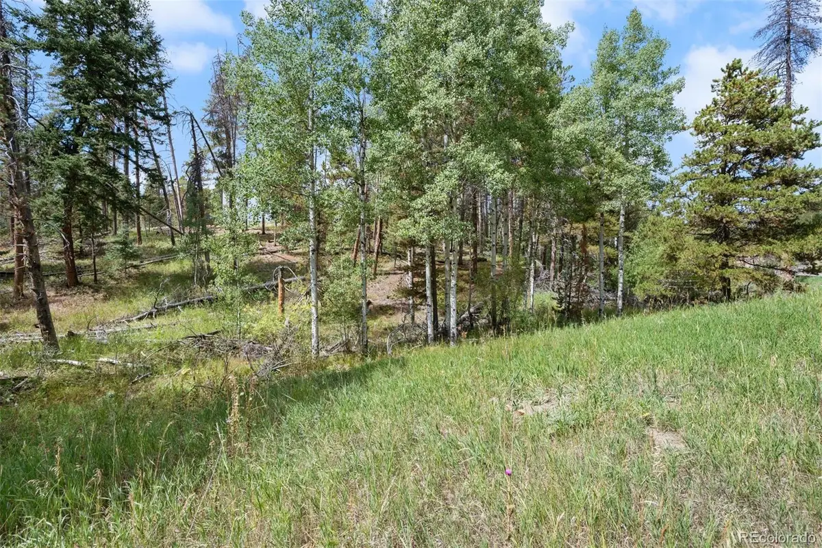 000 Lot 3 Indian Springs, Ken Caryl, CO 80123 - #1