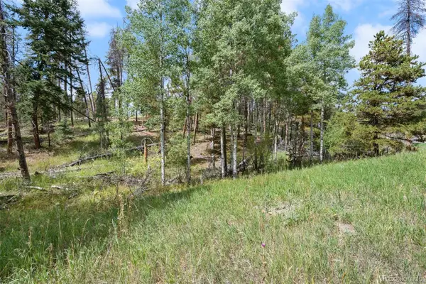 000 Lot 3 Indian Springs, Conifer, CO 80123