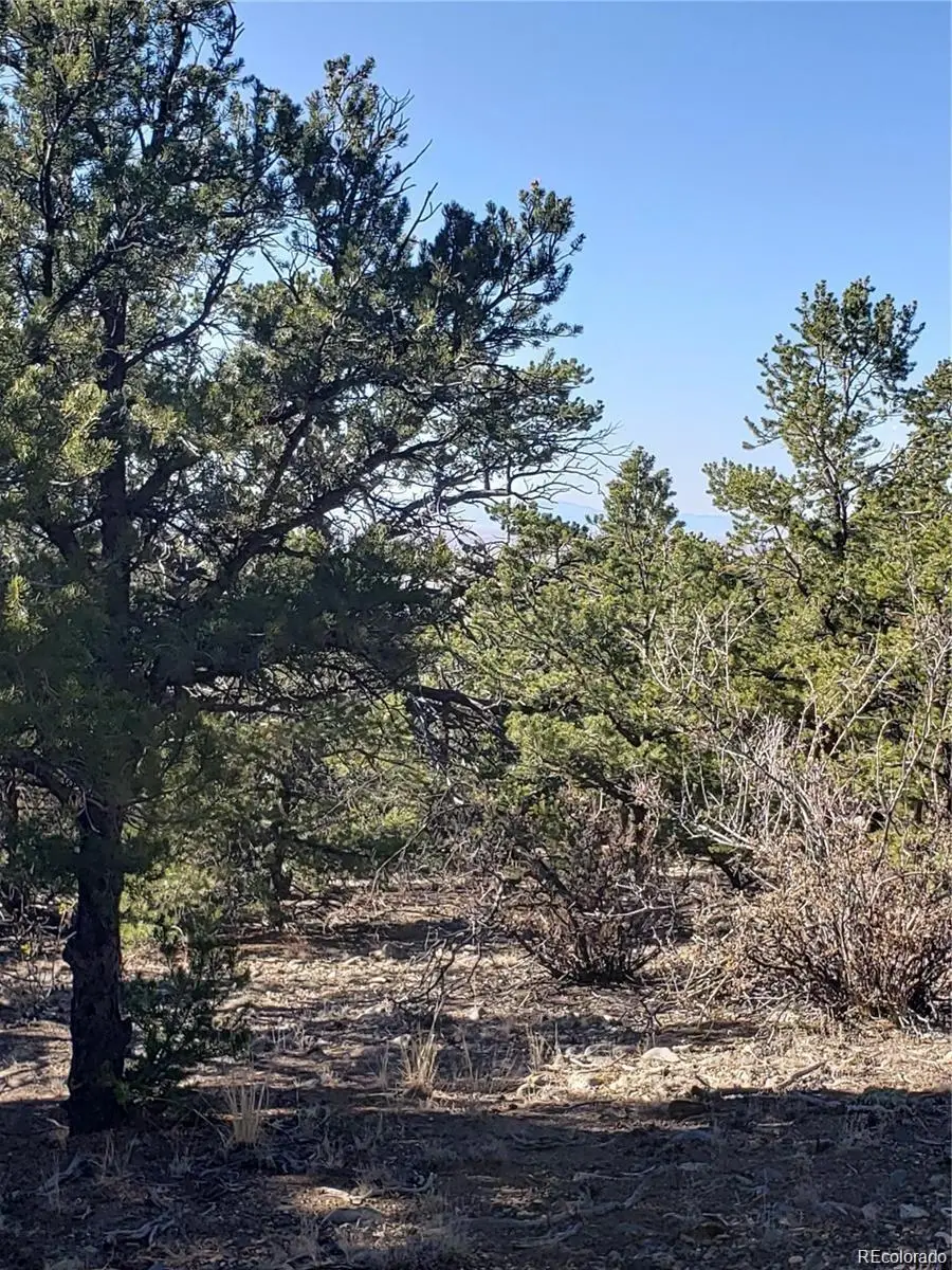 150/152 Lake Of The Falls Parkway, Mosca, CO 81146 - Image #1