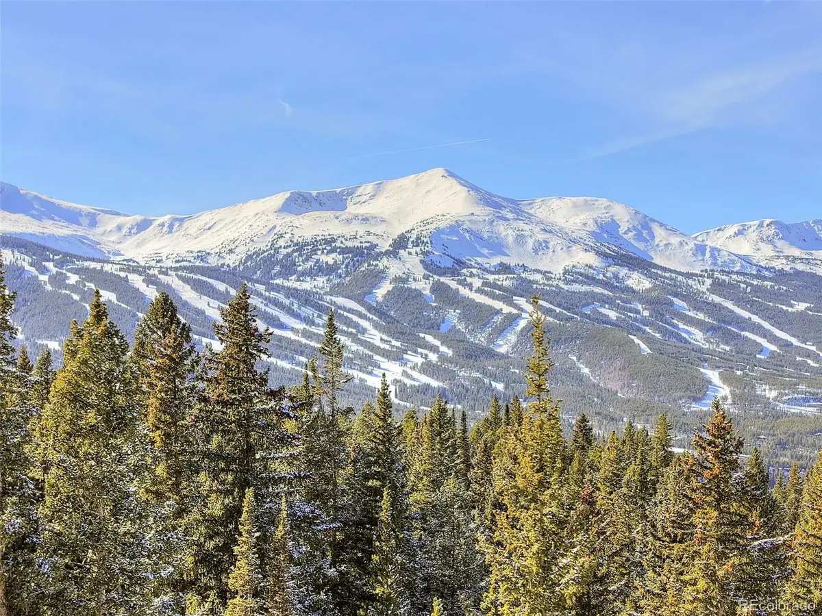 3362 Boreas Pass Road, Breckenridge, CO 80424 - #1