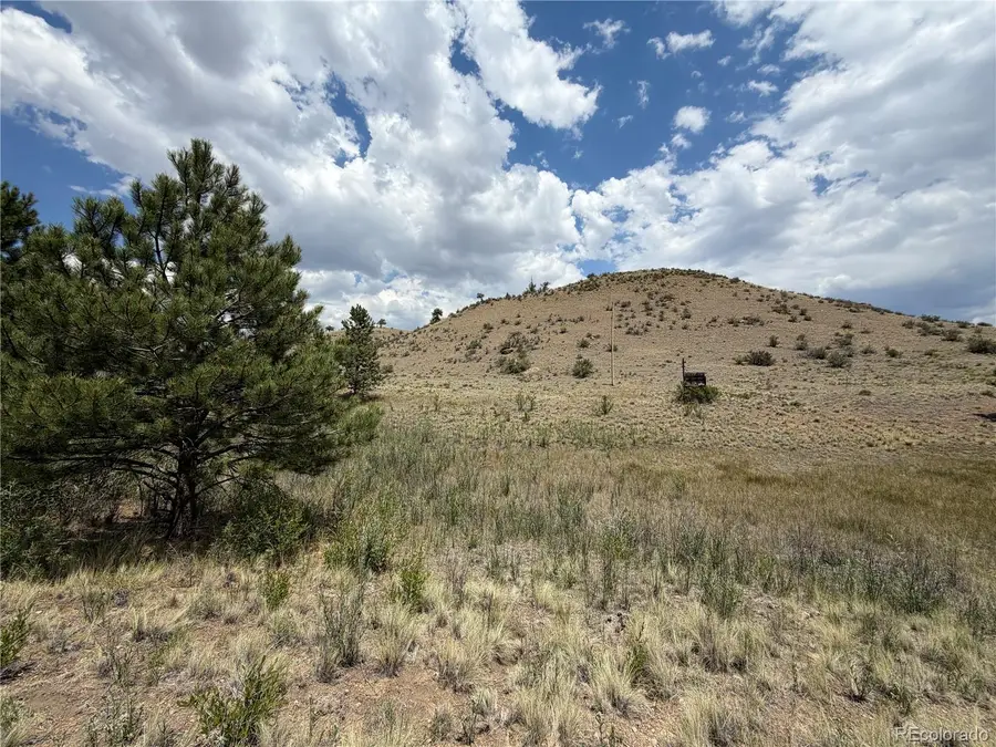 0 Trout Street, Hartsel, CO 80449 - #2