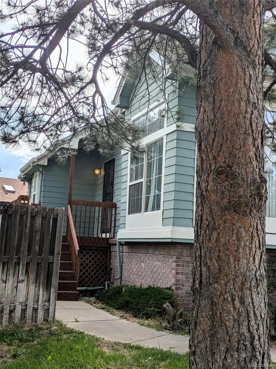 1163 S Flower Circle, Lakewood, CO 80232 - #3