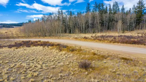 825 Gitche Goone Lane, Como, CO 80432