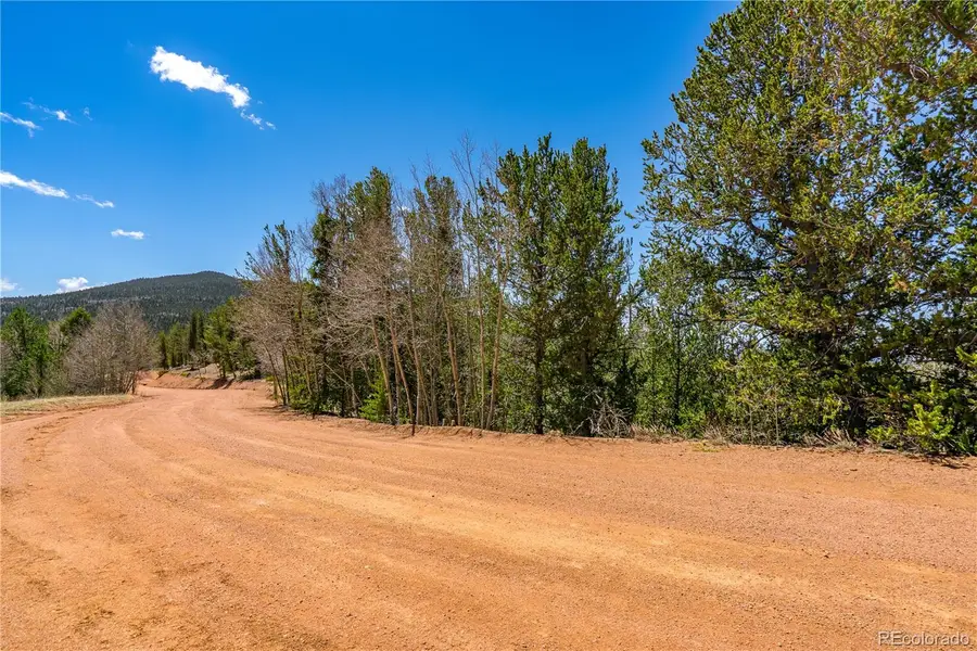 Brown Bear Drive, Cripple Creek, CO 80813 - Image #3