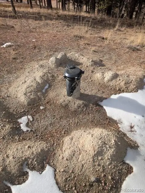 1379 S Mountain Estates Road, Florissant, CO 80816 - Image #2