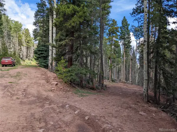 2379 Larry Place, Fort Garland, CO 81133