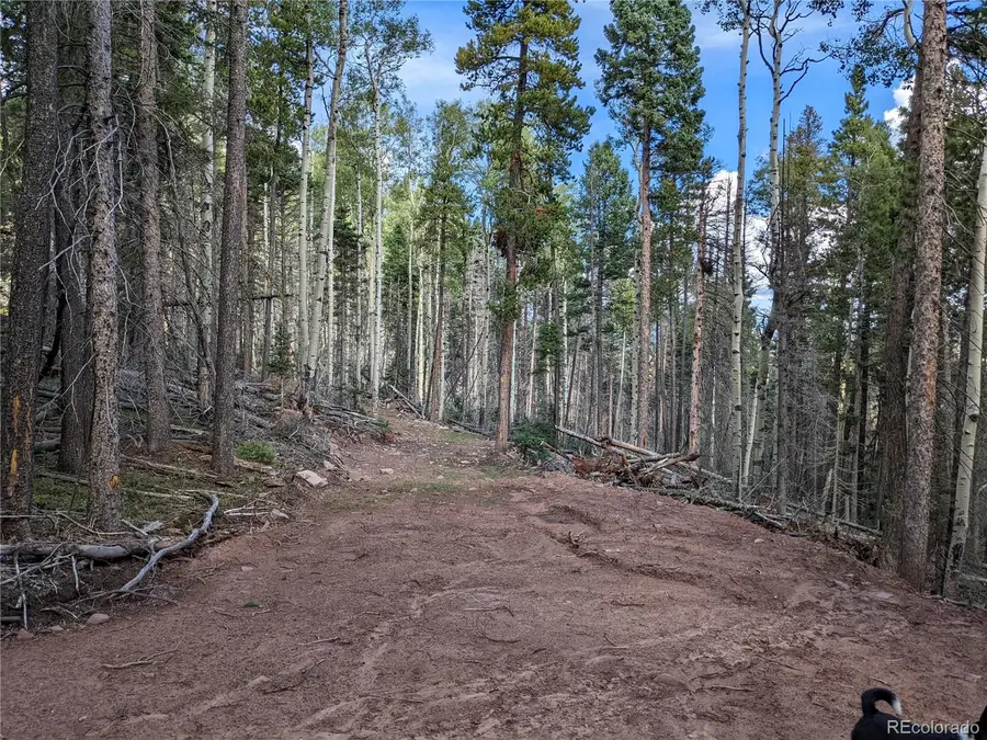 2379 Larry Place, Fort Garland, CO 81133 - #3