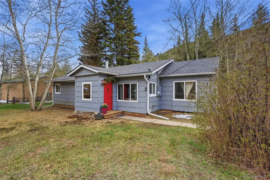 50464 Highway 285, Grant, CO 80475 - #3