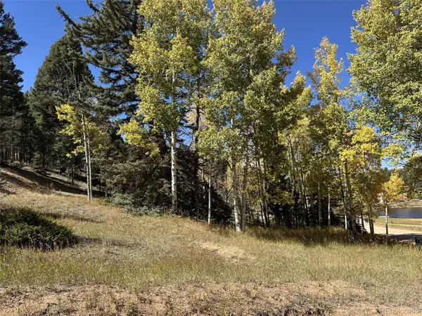 244 Spring Valley Lane, Florissant, CO 80816
