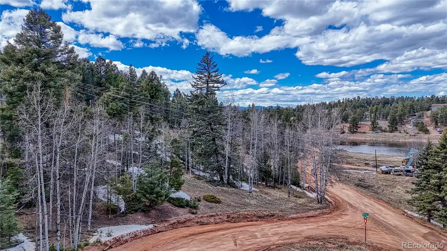 244 Spring Valley Lane, Florissant, CO 80816 - Image #2