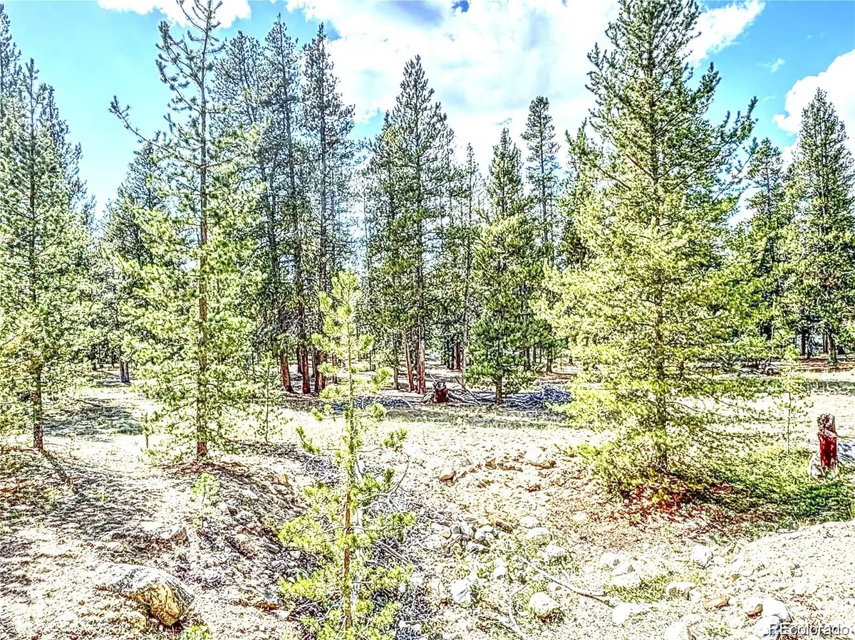 93 Placer Drive, Alma, CO 80420 - #1