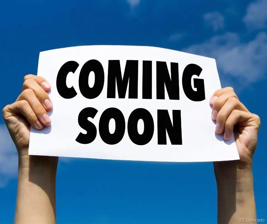 93 Placer Drive, Alma, CO 80420 - #2