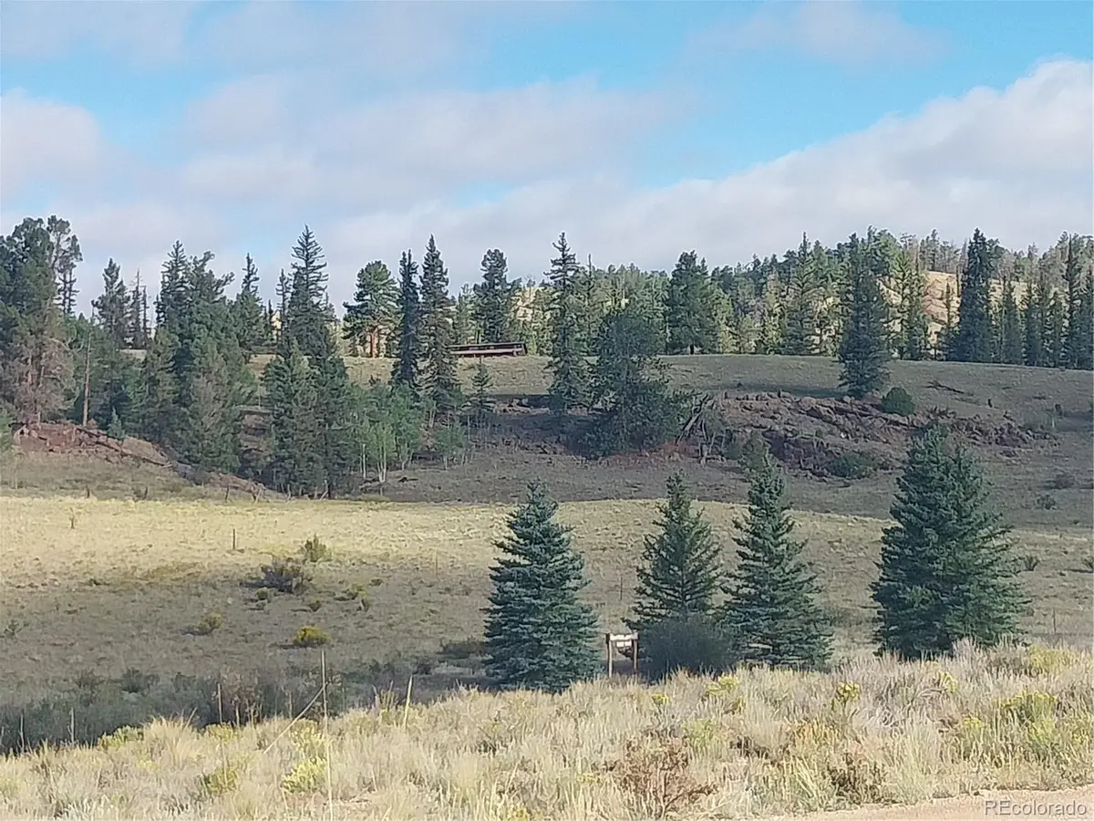 1167 Latigo Loop, Hartsel, CO 80449 - #1