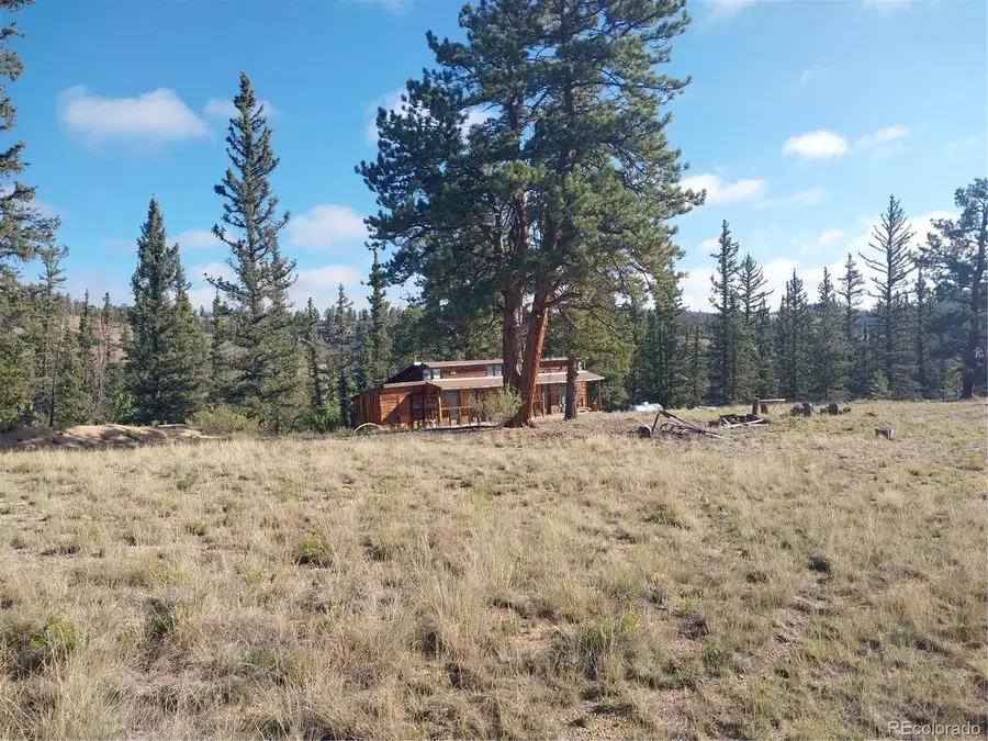 1167 Latigo Loop, Hartsel, CO 80449 - #2
