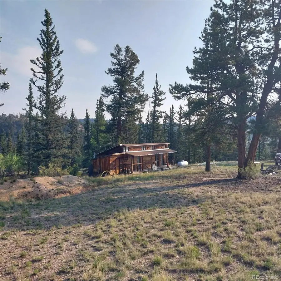 1167 Latigo Loop, Hartsel, CO 80449 - #3