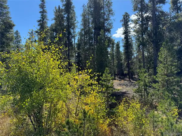 517 Augusta Drive, Leadville, CO 80461