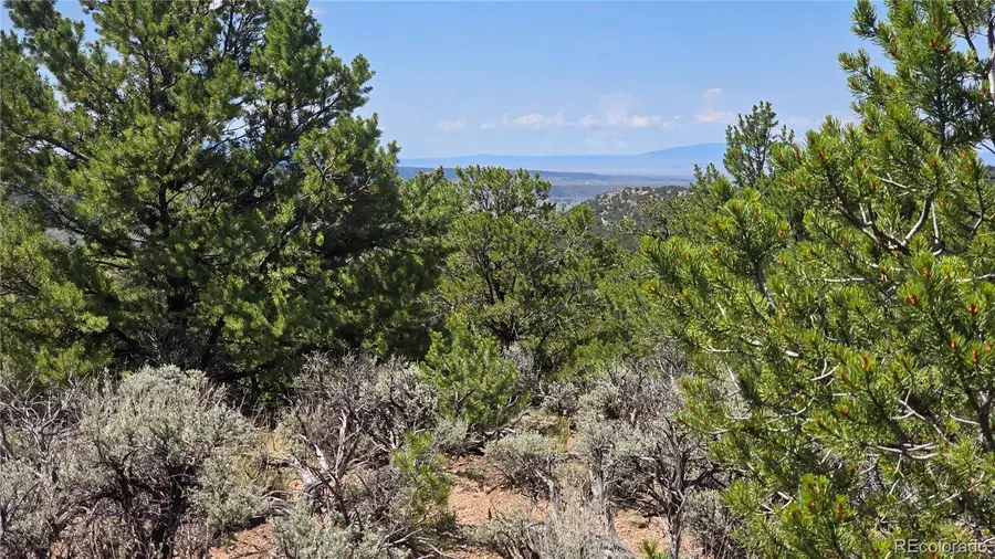 Lot 1615 Dunn Road, San Luis, CO 81152 - Image #2