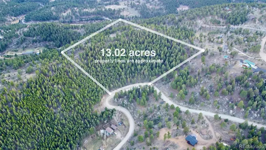 Delwood Drive, Bailey, CO 80421 - #2