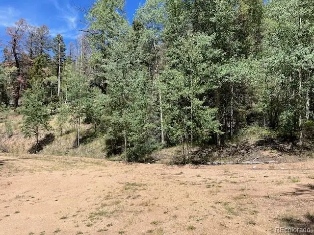 Lot 5655 Highlander Road, Fort Garland, CO 81133 - #2
