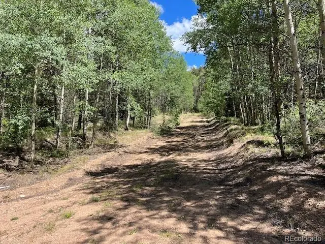 Lot 5655 Highlander Road, Fort Garland, CO 81133 - #3