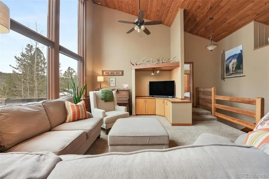 220 Morning Sun Drive, Woodland Park, CO 80863 - #3