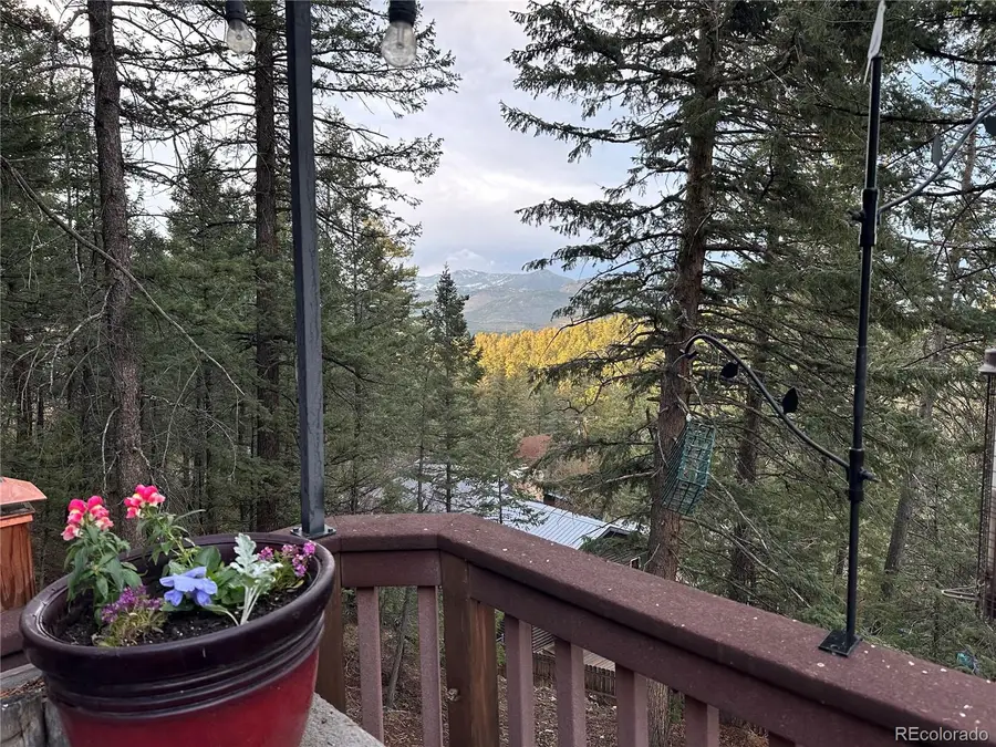 30282 Pine Crest Drive, Evergreen, CO 80439 - #3