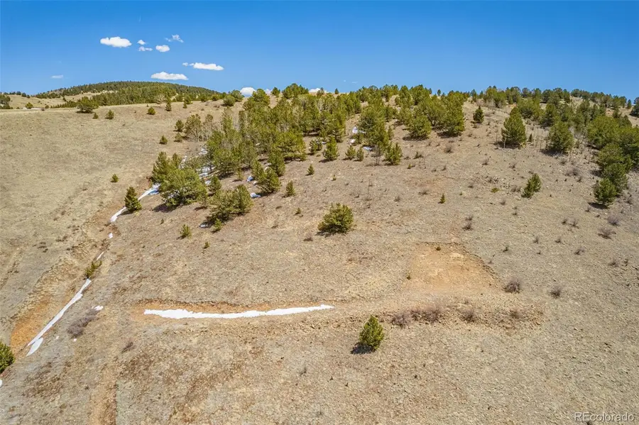 1538 County Road 1, Cripple Creek, CO 80813 - #3
