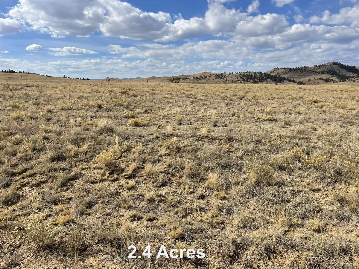 14461 Chickasaw Road, Hartsel, CO 80449 - #1