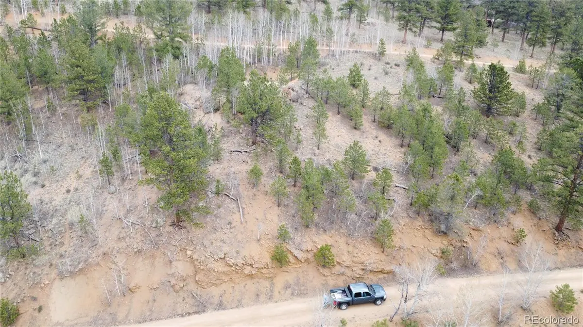 312 Marian Street, Bailey, CO 80421 - #1