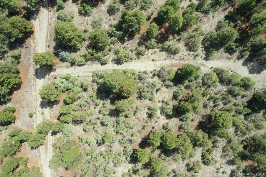 Conejos Place, Mosca, CO 81146 - #2