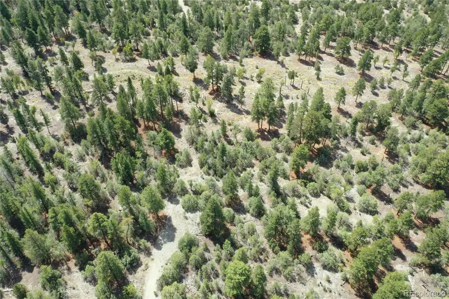 Conejos Place, Mosca, CO 81146 - #3