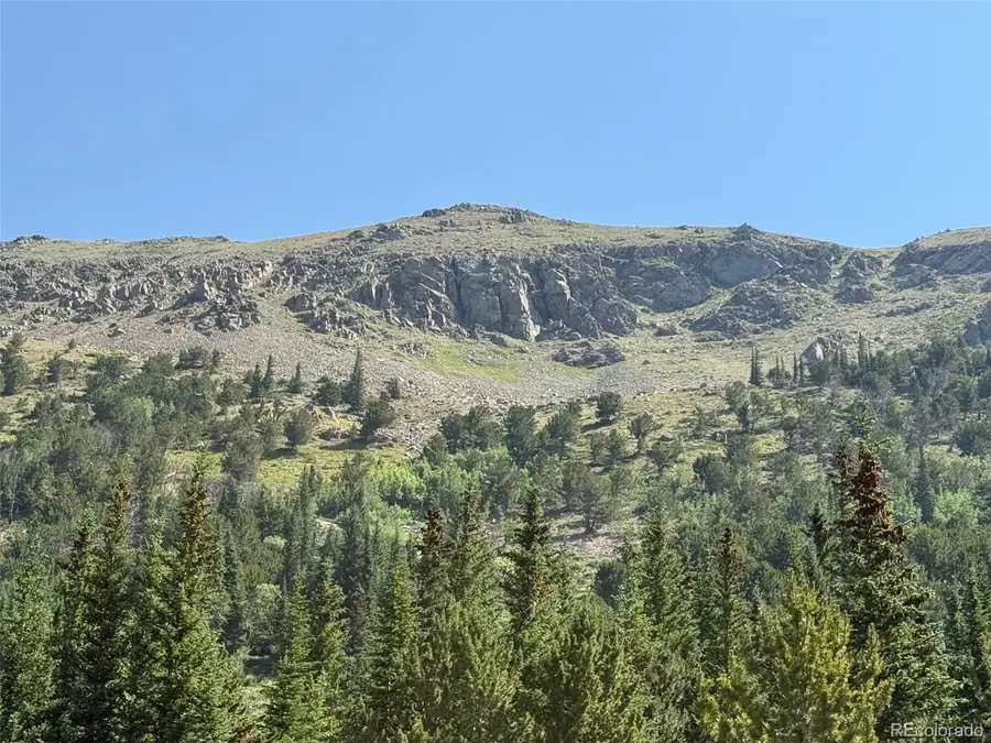 3800 Fourth Of July Road, Bald Mountain, CO 80216 - #3