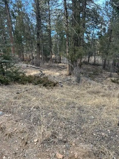 260 Ranch Resorts Drive, Florissant, CO 80816 - #1